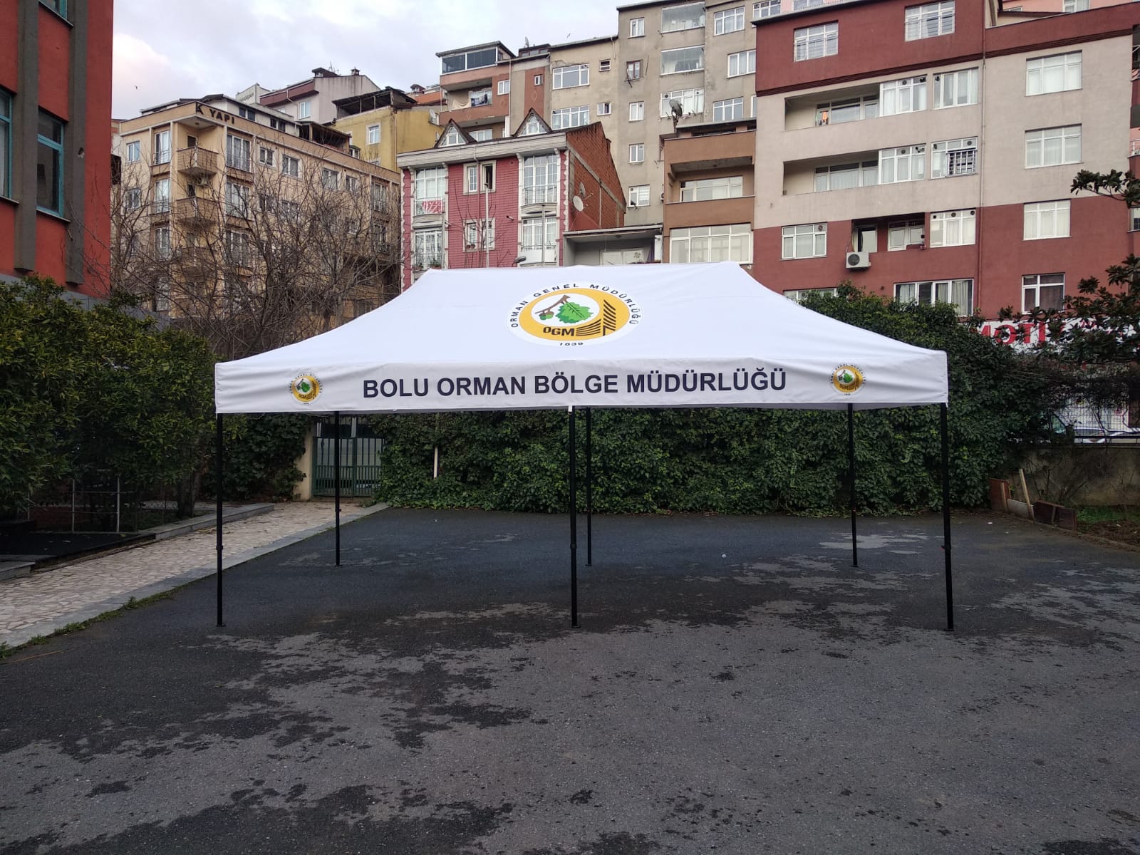 Gazebo Tente 3x6 Baskılı Çadır